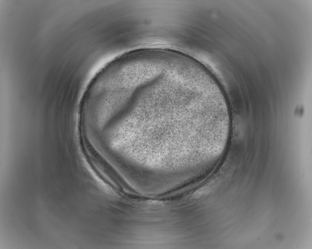 X0000090731424200708101629