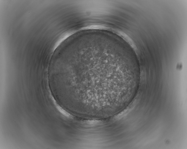 X0000090731425200708101629