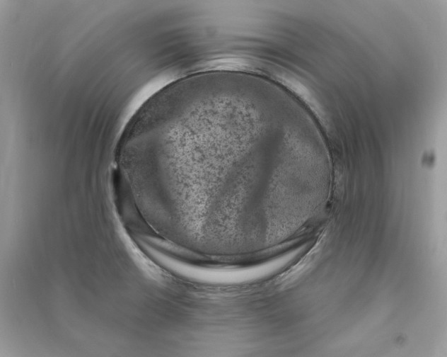 X0000090731426200708101629