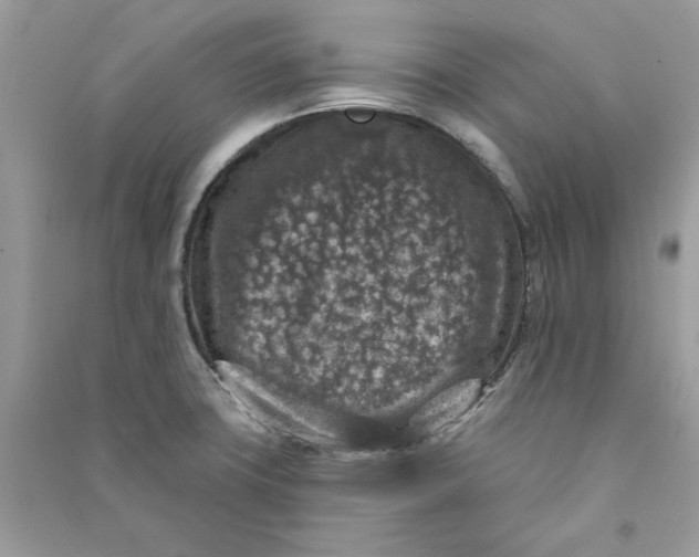 X0000090731427200708101629