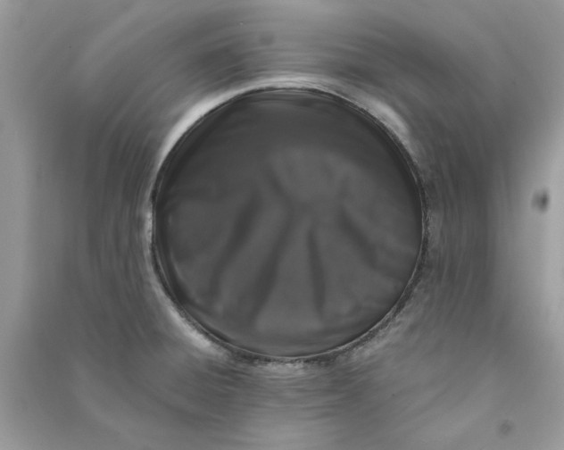 X0000090731428200708101629