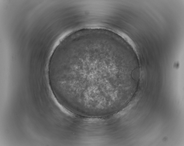 X0000090731429200708101629