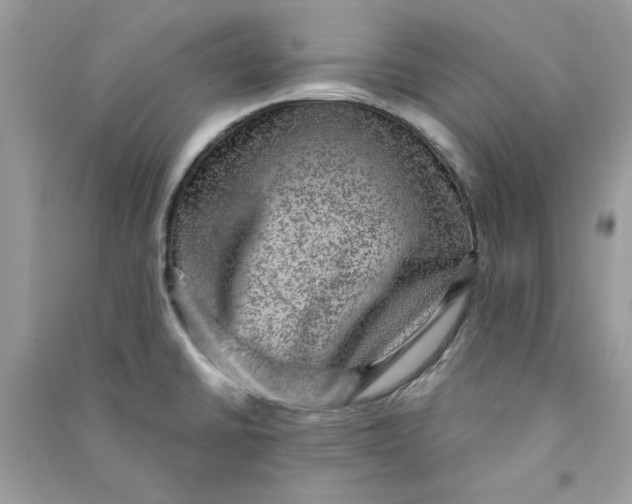 X0000090731430200708101629