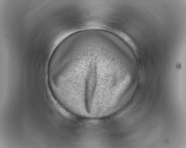 X0000090731431200708101629