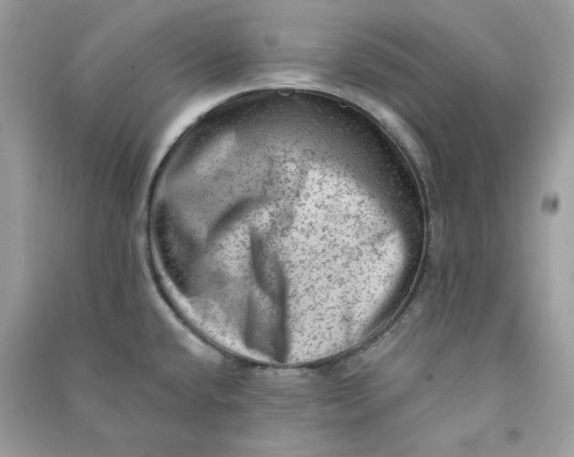 X0000090731432200708101630