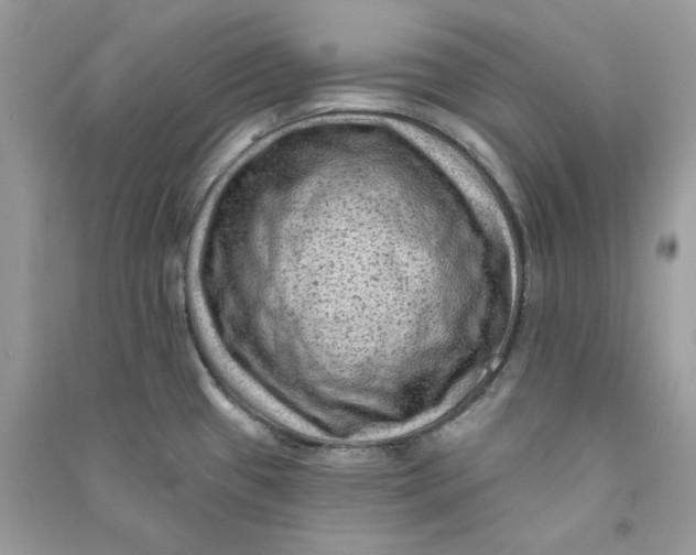 X0000090731433200708101630