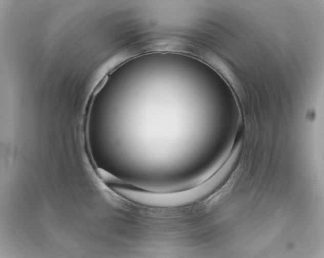 X0000090731434200708101630