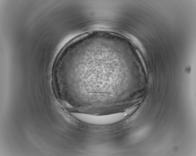 X0000090731435200708101630