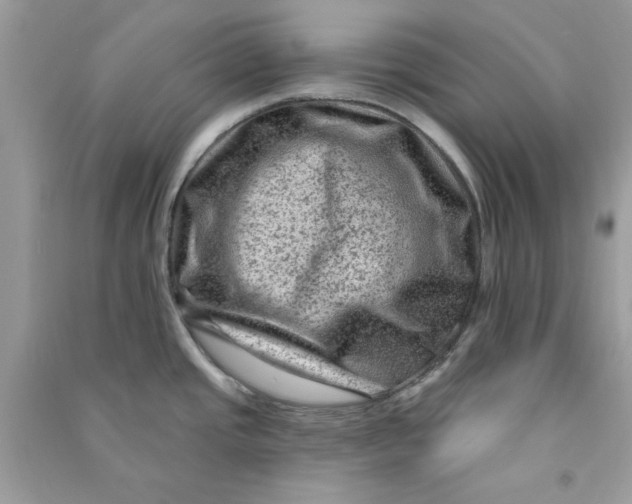 X0000090731437200708101630