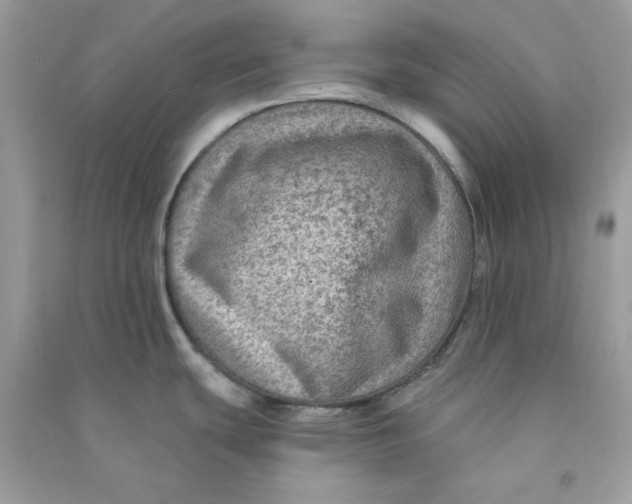 X0000090731439200708101630