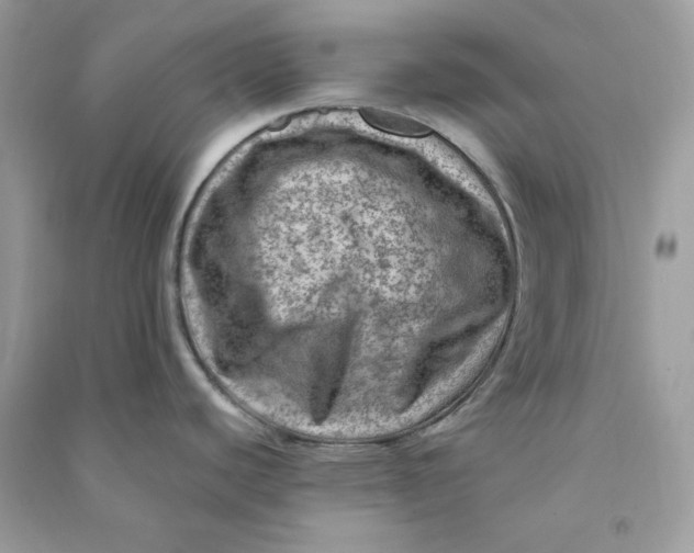 X0000090731440200708101630