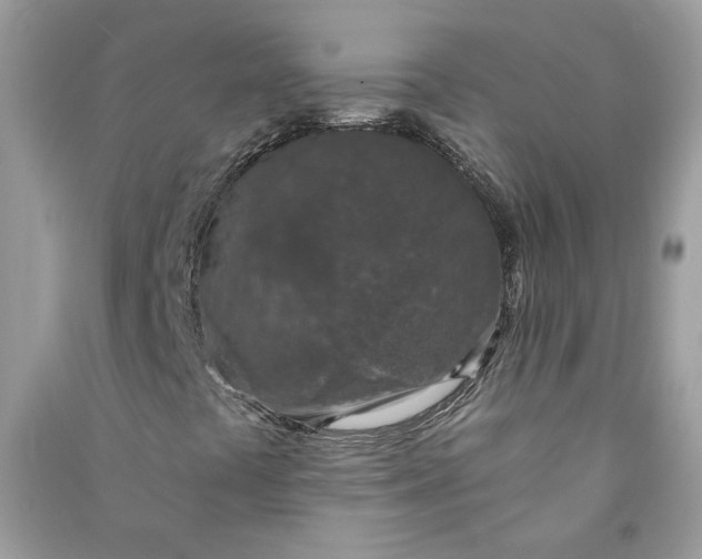 X0000090731441200708101629