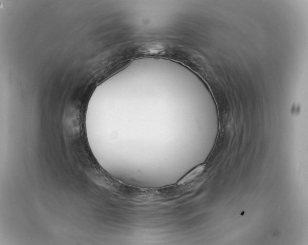 X0000090731442200708101629