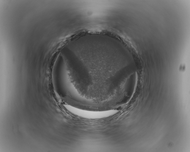 X0000090731445200708101629