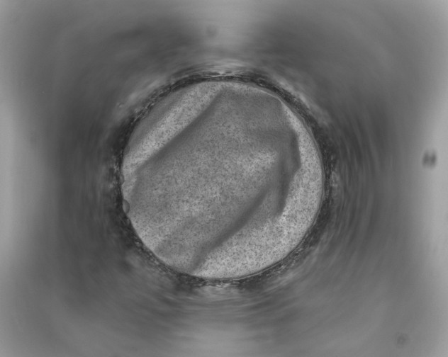 X0000090731447200708101629