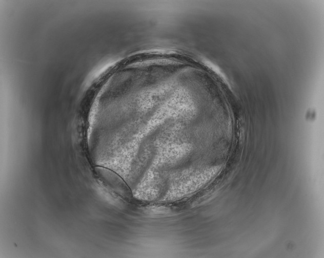 X0000090731448200708101629