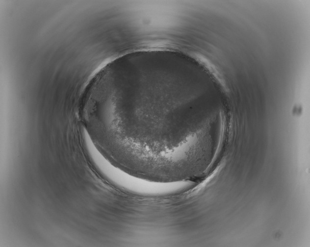 X0000090731449200708101629