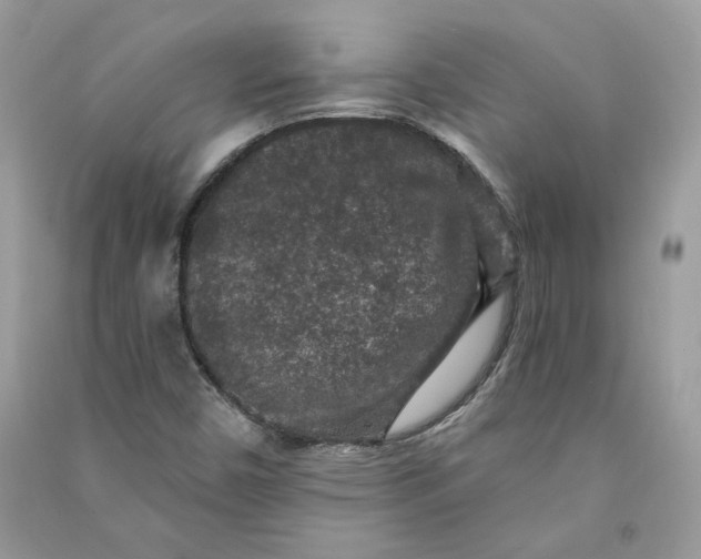 X0000090731450200708101629