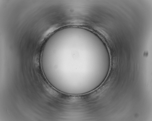 X0000090731451200708101629