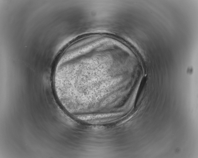 X0000090731452200708101629