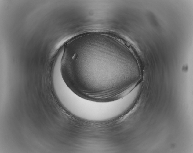 X0000090731453200708101629