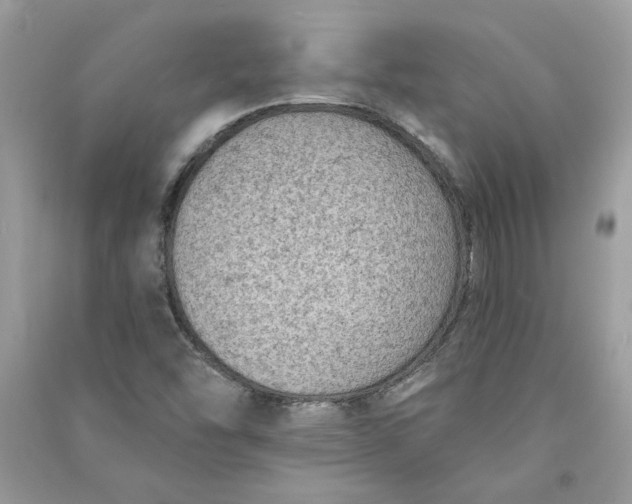 X0000090731454200708101629