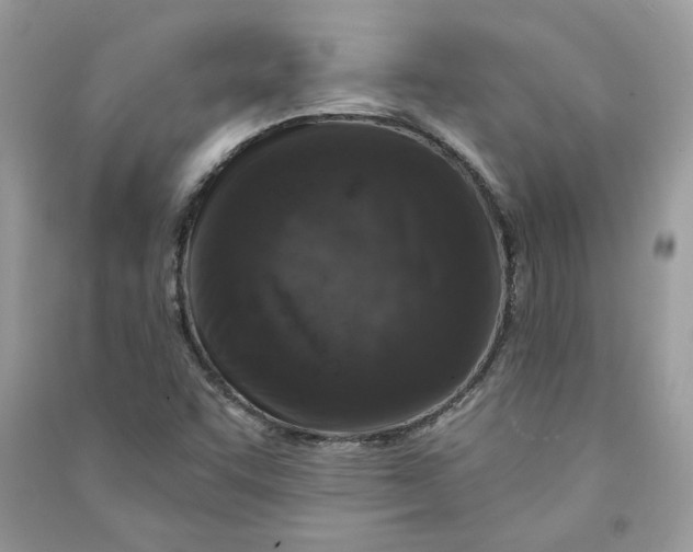 X0000090731455200708101629