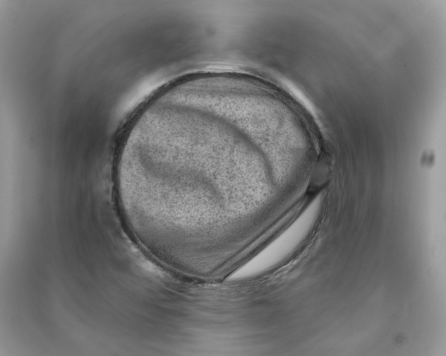 X0000090731456200708101629