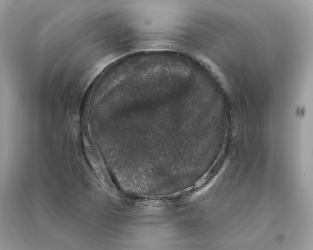 X0000090731457200708101629