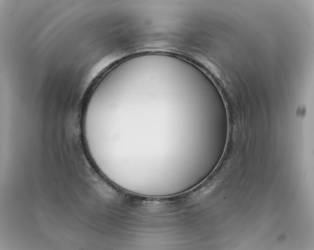 X0000090731458200708101629