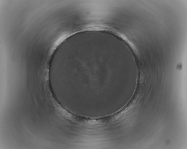 X0000090731459200708101629