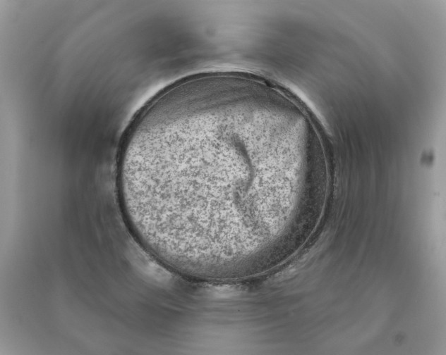 X0000090731460200708101629