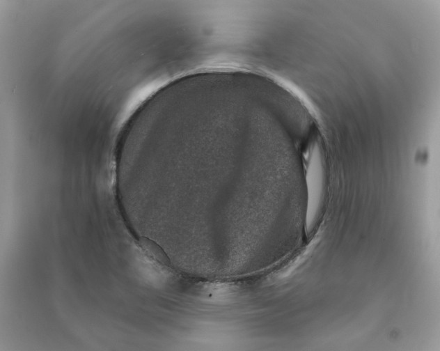 X0000090731461200708101629