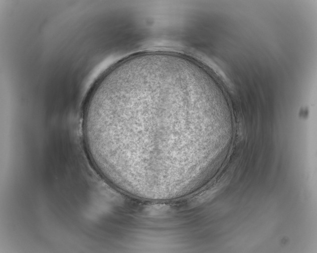 X0000090731462200708101629