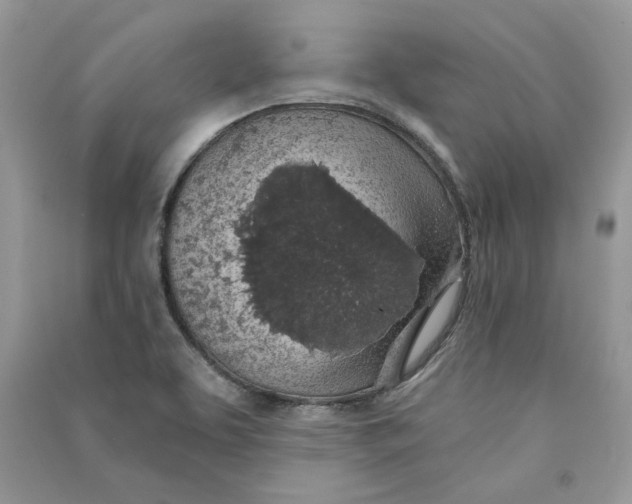 X0000090731463200708101629