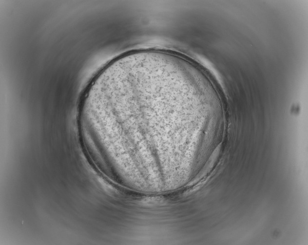 X0000090731464200708101629