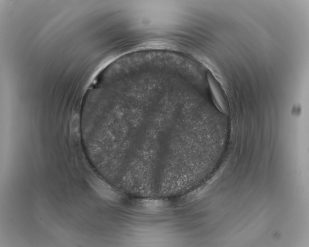 X0000090731465200708101629