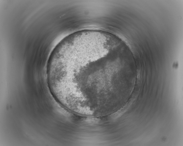 X0000090731466200708101629