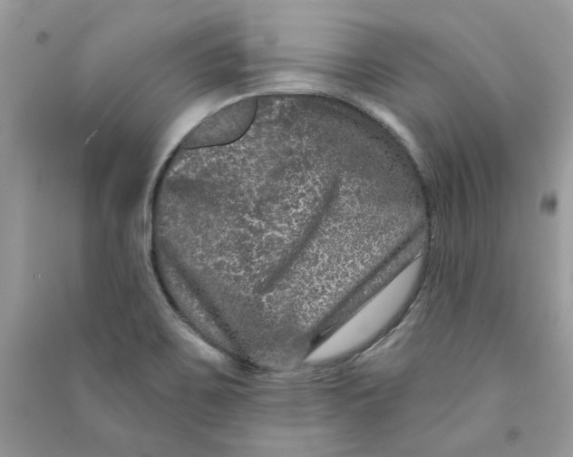 X0000090731467200708101629