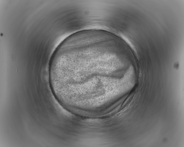 X0000090731468200708101629