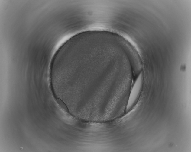 X0000090731469200708101629