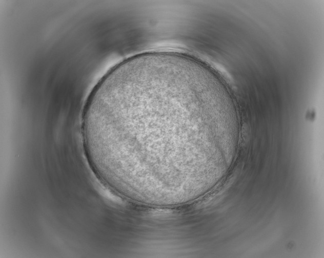 X0000090731470200708101629