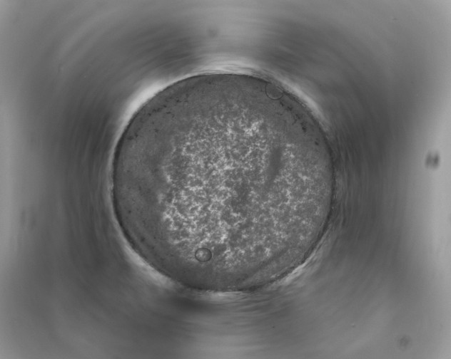 X0000090731471200708101629