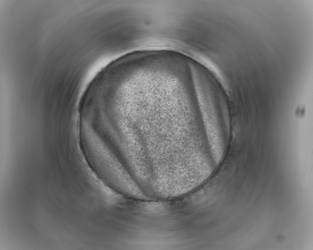 X0000090731472200708101629