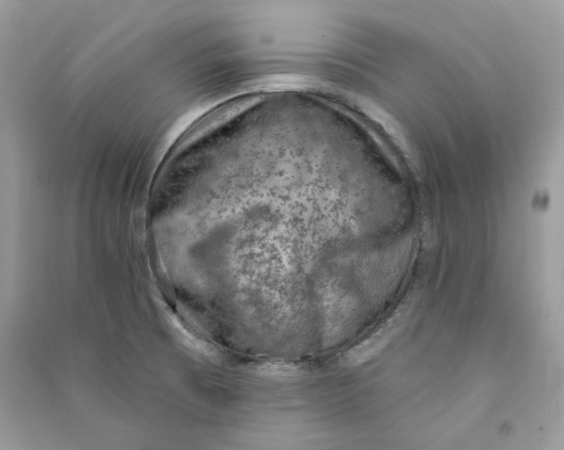 X0000090731473200708101629