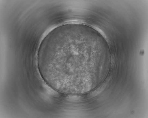 X0000090731474200708101628