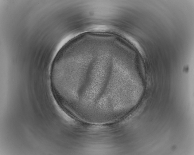 X0000090731475200708101628