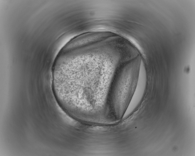 X0000090731476200708101628