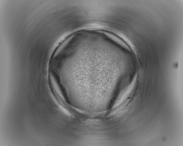 X0000090731477200708101628