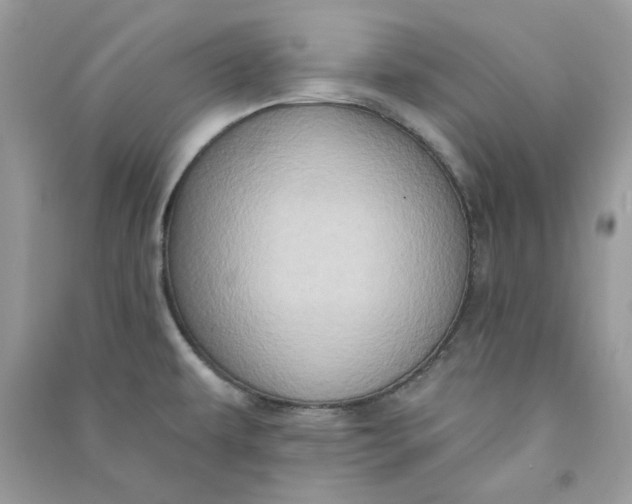 X0000090731479200708101628